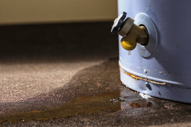 Best Flood damage cleanup  in Crane, MO