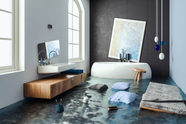 Best Commercial water damage restoration  in Crane, MO