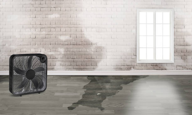 Water damage restoration mold remediation in MO