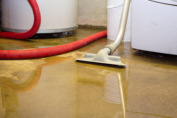 Best Water damage contractors near me  in Crane, MO