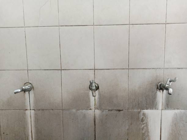 Best Water damage cleanup near me  in Crane, MO