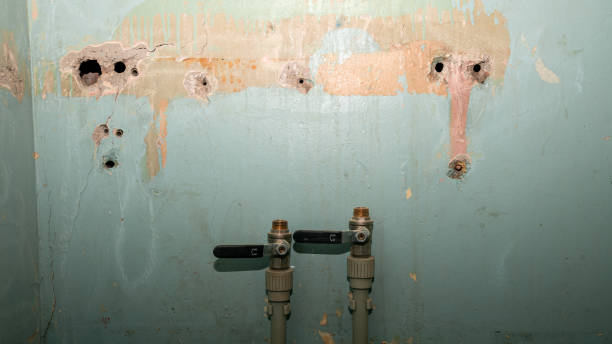 Best Sewage cleanup and water damage restoration  in Crane, MO