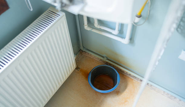 Best Residential water damage restoration  in Crane, MO