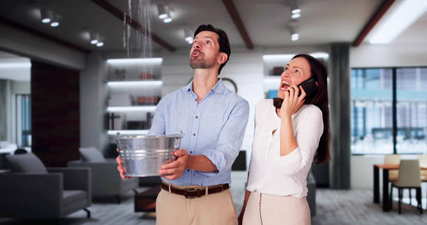 Best Water damage restoration process  in Crane, MO