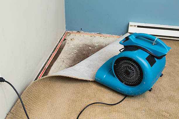 Water damage restoration experts in MO