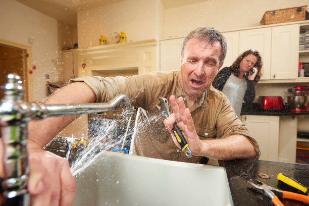Best Ceiling water damage repair  in Crane, MO